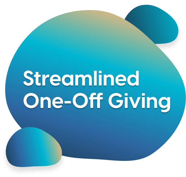 Streamlined One-Off Giving